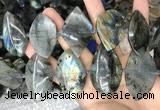 CLB1003 15.5 inches 18*35mm - 25*45mm freeform labradorite beads