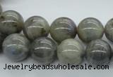 CLB102 15.5 inches 14mm round labradorite gemstone beads wholesale