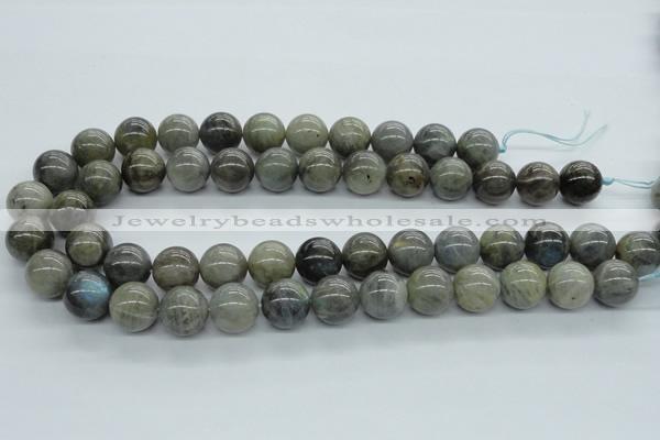 CLB103 15.5 inches 16mm round labradorite gemstone beads wholesale