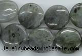 CLB107 15.5 inches 18mm flat round labradorite gemstone beads wholesale