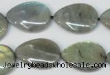 CLB159 15.5 inches 15*20mm flat teardrop labradorite gemstone beads