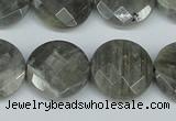 CLB193 15.5 inches 20mm faceted coin labradorite gemstone beads