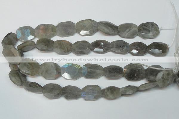 CLB206 15.5 inches 20*25mm faceted freeform labradorite beads