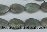 CLB210 15.5 inches 15*20mm faceted flat teardrop labradorite beads