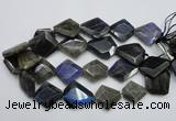 CLB218 15.5 inches 25*30mm - 30*40mm faceted freeform labradorite beads