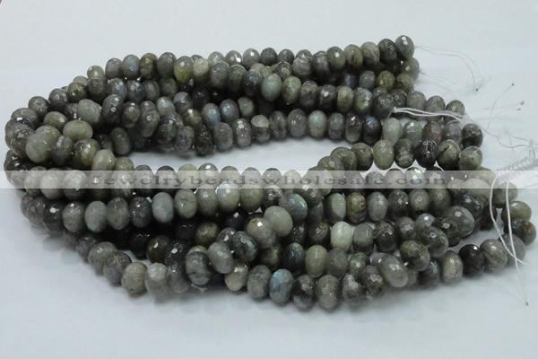 CLB31 15.5 inches 8*12mm faceted rondelle labradorite gemstone beads