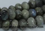 CLB32 15.5 inches 10*14mm faceted rondelle labradorite gemstone beads