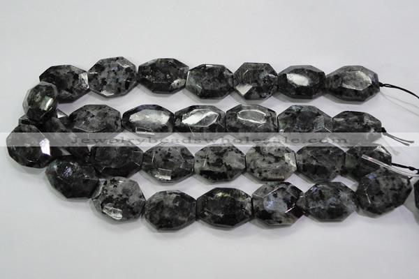 CLB325 15.5 inches 20*25mm octagonal black labradorite beads