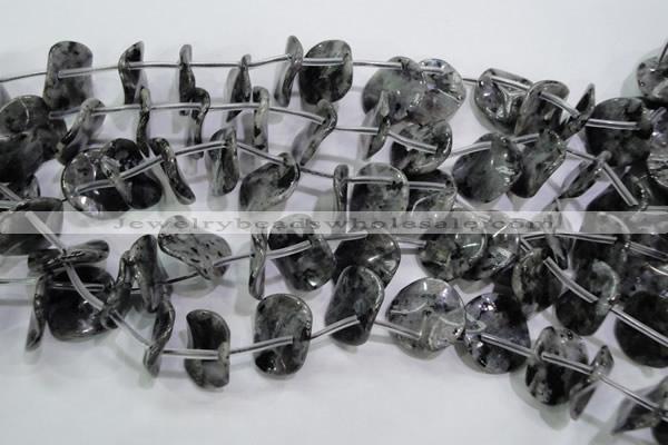 CLB326 Top-drilled 20mm wavy coin black labradorite beads