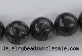 CLB356 15.5 inches 16mm round black labradorite beads wholesale