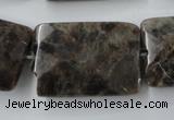 CLB426 15.5 inches 20*30mm faceted rectangle grey labradorite beads