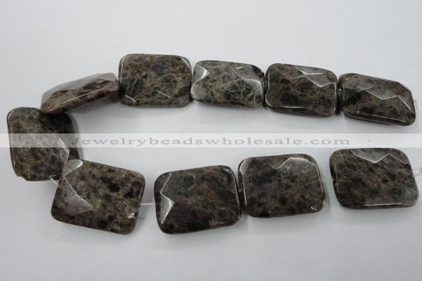 CLB428 15.5 inches 30*40mm faceted rectangle grey labradorite beads