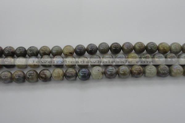 CLB604 15.5 inches 12mm round AB-color labradorite beads