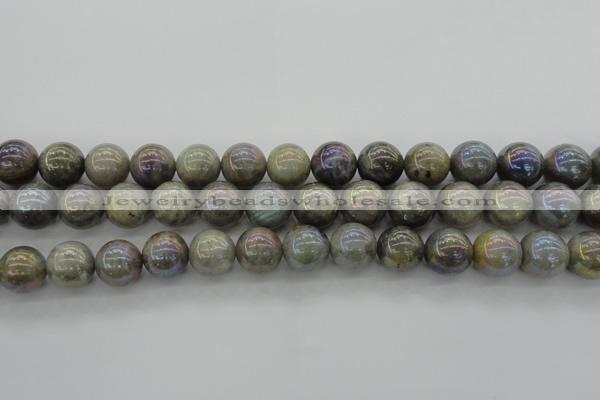 CLB605 15.5 inches 14mm round AB-color labradorite beads