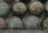 CLB608 15.5 inches 20mm round AB-color labradorite beads