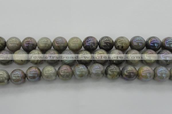 CLB608 15.5 inches 20mm round AB-color labradorite beads