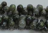 CLB631 15.5 inches 6*12mm bone AB-color labradorite beads