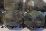 CLB704 15.5 inches 15*18mm - 20*25mm faceted nuggets labradorite beads