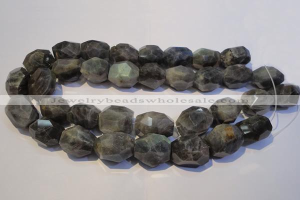 CLB704 15.5 inches 15*18mm - 20*25mm faceted nuggets labradorite beads