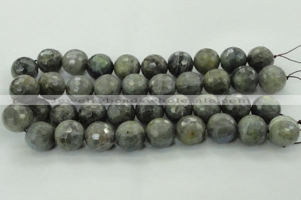 CLB715 15.5 inches 20mm faceted round labradorite gemstone beads