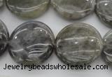 CLB738 15.5 inches 20mm flat round labradorite gemstone beads