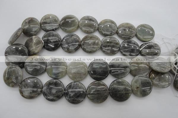 CLB738 15.5 inches 20mm flat round labradorite gemstone beads