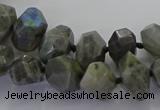 CLB765 15.5 inches 8*12mm - 12*16mm faceted nuggets labradorite beads