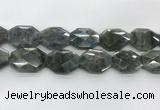 CLB799 25*30mm - 25*35mm faceted octagonal labradorite beads