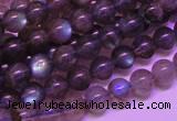 CLB812 15 inches 6mm round blue labradorite gemstone beads