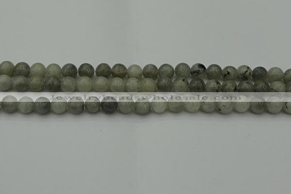 CLB852 15.5 inches 8mm round AB grade labradorite beads wholesale