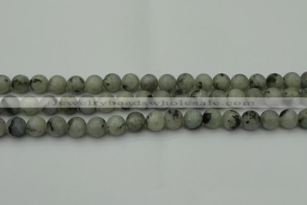 CLB853 15.5 inches 10mm round AB grade labradorite beads wholesale