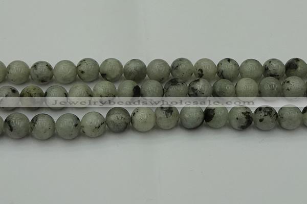 CLB855 15.5 inches 14mm round AB grade labradorite beads wholesale