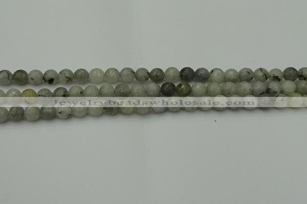 CLB861 15.5 inches 6mm faceted round AB grade labradorite beads