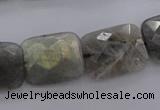 CLB94 15.5 inches 13*18mm faceted rectangle labradorite beads