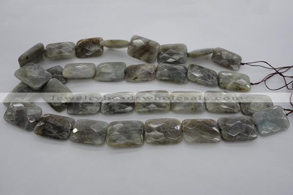 CLB96 15.5 inches 18*25mm faceted rectangle labradorite beads