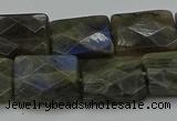 CLB963 15.5 inches 15*20mm faceted rectangle labradorite beads