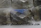 CLB97 15.5 inches 20*30mm faceted rectangle labradorite beads