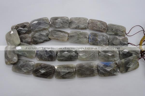 CLB97 15.5 inches 20*30mm faceted rectangle labradorite beads