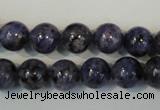 CLJ233 15.5 inches 10mm round dyed sesame jasper beads wholesale