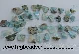 CLR90 Top drilled 15*20mm - 25*35mm freeform larimar beads