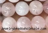 CMG410 15.5 inches 8mm round pink morganite beads wholesale