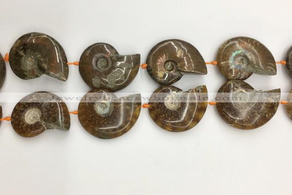 CMM10 15.5 inches 30*40mm - 35*45mm carved ammonite gemstone beads