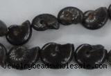 CMM50 15.5 inches 10*14mm - 12*16mm ammonite gemstone beads