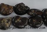 CMM51 15.5 inches 13*18mm - 15*20mm ammonite gemstone beads