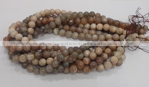 CMS03 15.5 inches 10mm round moonstone gemstone beads wholesale