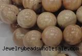 CMS04 15.5 inches 18mm round moonstone gemstone beads wholesale