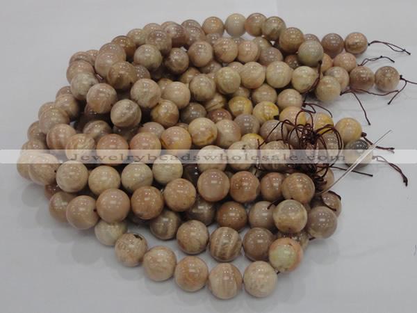 CMS04 15.5 inches 18mm round moonstone gemstone beads wholesale