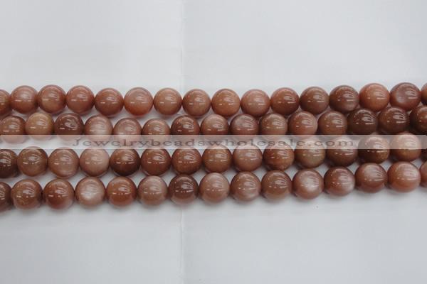 CMS1004 15.5 inches 12mm round AA grade moonstone gemstone beads