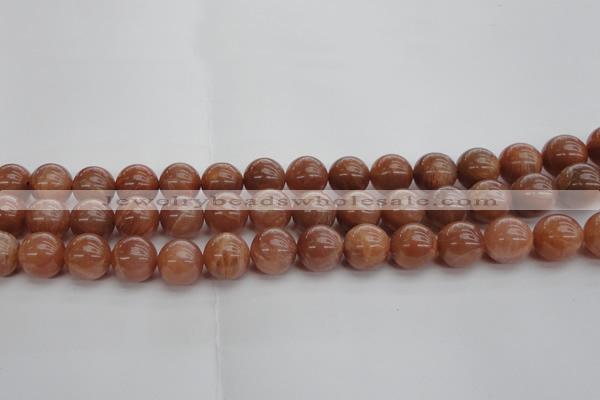 CMS1005 15.5 inches 14mm round AA grade moonstone gemstone beads