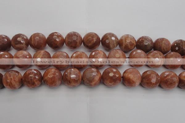 CMS1017 15.5 inches 16mm faceted round AA grade moonstone beads